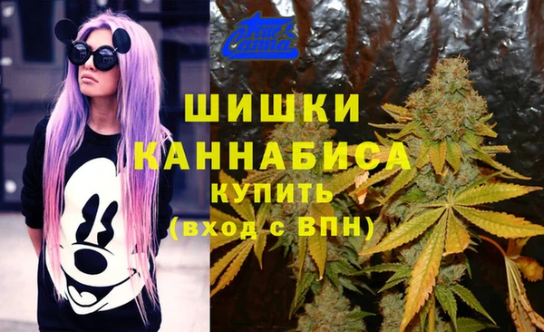 гидра Алексин